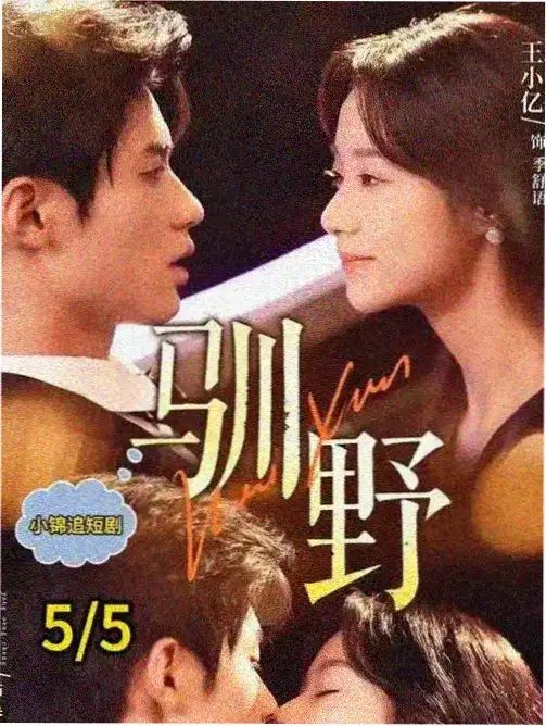 阳光之下 电视剧 2024