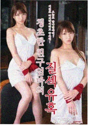 春天的故事 电视剧 2009 法国